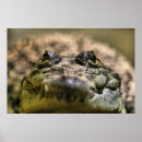Search for dangerous animals art Vintage