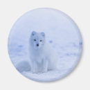 Search for snowy magnets Nature