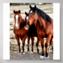 Search for quarter art Horse