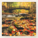 Search for wooden coasters Photography