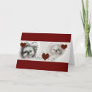 Search for shih tzu cards Shitzu