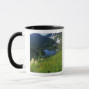 Search for basin Scenic