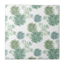 Search for succulent tiles Tropical