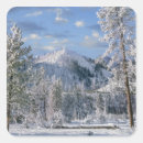 Search for winter park stickers Yellowstone national park