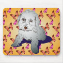 Search for maltipoo electronics Poodle