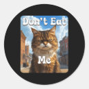 Search for dont stickers Aesthetic