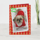 Search for cute shih tzu christmas cards Snow