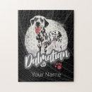 Search for dalmatian puzzles Dog