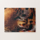 Search for big cat puzzles Eye
