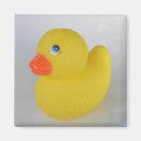 Search for rubber duck magnets Duckie
