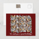 Search for cat collage cards Kitten