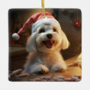 Search for maltese dog christmas tree decorations Funny