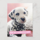 Search for nosed postcards Funny