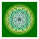 Search for mandala posters Reiki