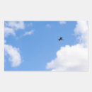 Search for soaring stickers Bird