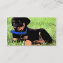 Search for pup business cards Dog walker