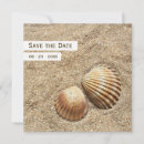 Search for sea shells save the dates Summer