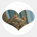 Search for robin bird stickers Cute