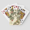 Search for dragonfly playing cards Animals