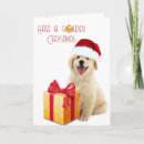 Search for golden christmas cards Puppy