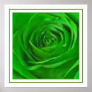 Search for abstract rose posters Macro