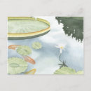 Search for koi postcards Fish