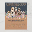 Search for grooms flyers Dog