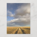 Search for canada landscape postcards Alberta