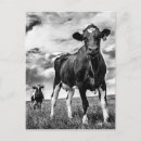 Search for crops postcards Clouds
