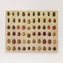 Search for ladybird puzzles Ladybug