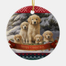 Search for flat coated retriever christmas tree decorations Puppy