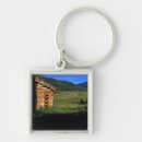 Search for log key rings House
