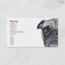 Search for pug business cards Dogs