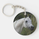 Search for arab horse key rings Bob langrish