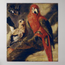 Search for ara art Exotic