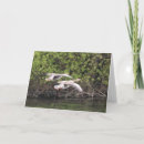 Search for geese cards Goose