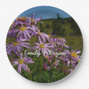 Search for aster plates Purple
