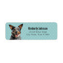 Search for cattle dog return address labels Cute
