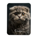 Search for home living Classic