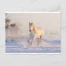 Search for quirky postcards Winter