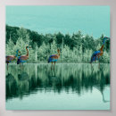 Search for sand crane art Wildlife