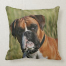Search for boxer dog cushions Headshot