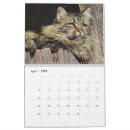 Search for maine calendars Kitten