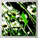 Search for stems posters White