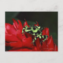 Search for 2 spot postcards Nature