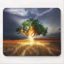 Search for tree mouse Sky