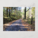 Search for forest path postcards Leaves