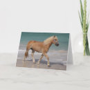 Search for haflinger cards Animal