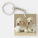 Search for golden labrador key rings Animal