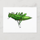 Search for green grasshopper postcards Animal